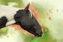 Load image into Gallery viewer, Pet Portraits
