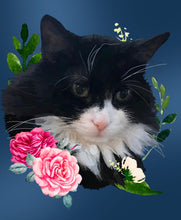 Load image into Gallery viewer, Pet Portraits

