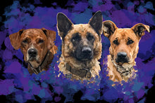 Load image into Gallery viewer, Pet Portraits
