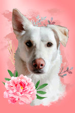 Load image into Gallery viewer, Pet Portraits
